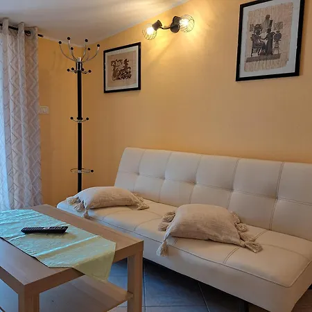 Apartments Villa Amaryllis Novigrad  Exterior photo