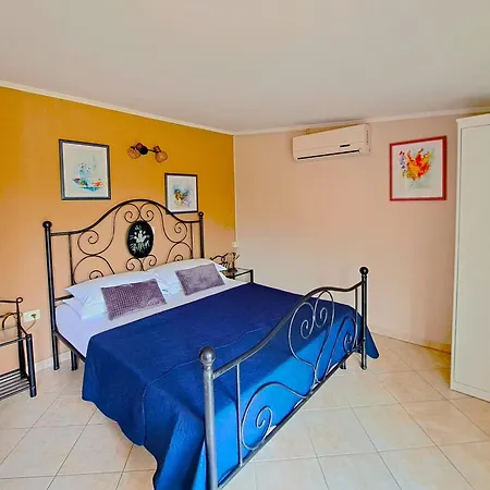 Apartments Villa Amaryllis Novigrad  Exterior photo