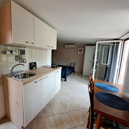 Apartments Villa Amaryllis Novigrad  Exterior photo