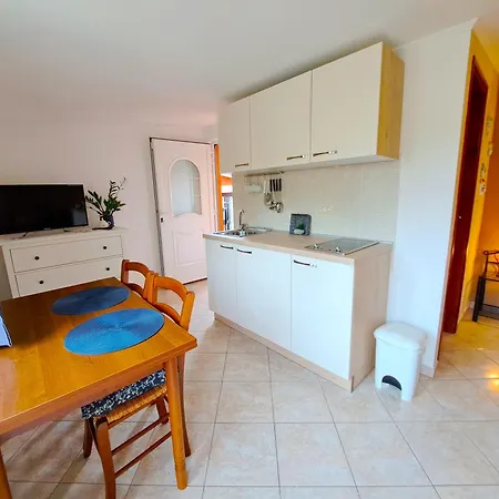 Apartments Villa Amaryllis Novigrad  Exterior photo
