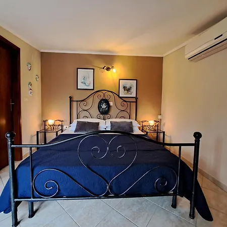 Apartments Villa Amaryllis Novigrad  Exterior photo