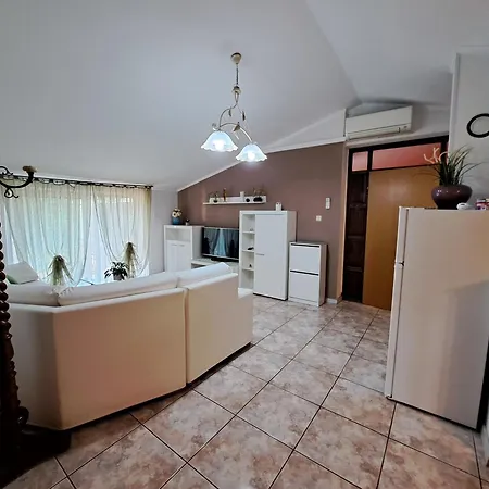 Apartments Villa Amaryllis Novigrad  Exterior photo