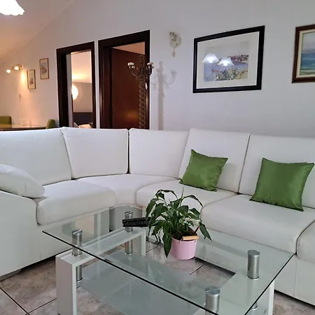 Apartments Villa Amaryllis Novigrad  Exterior photo